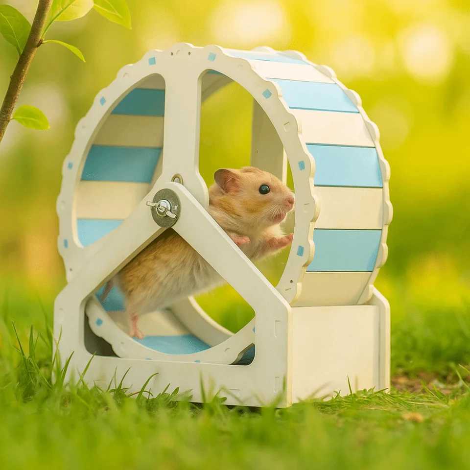 Animal Toy Plastic Hamster Running Wheel Silent Stable Base Rodent Running Wheel 21cm Colorful Pet Hamster Bracket Pet Exercise M251205