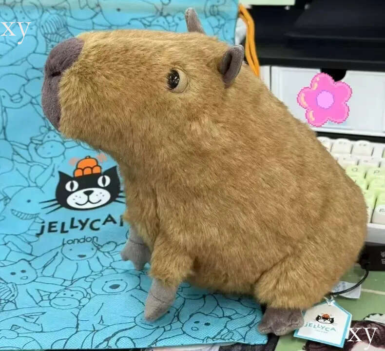 Dolls jellys cat Clyde Capybara Plush Children's plush toys Kapibala Soft Toy Dolphin body pillow Cute Soothing Doll GiftsJelly Cat 625