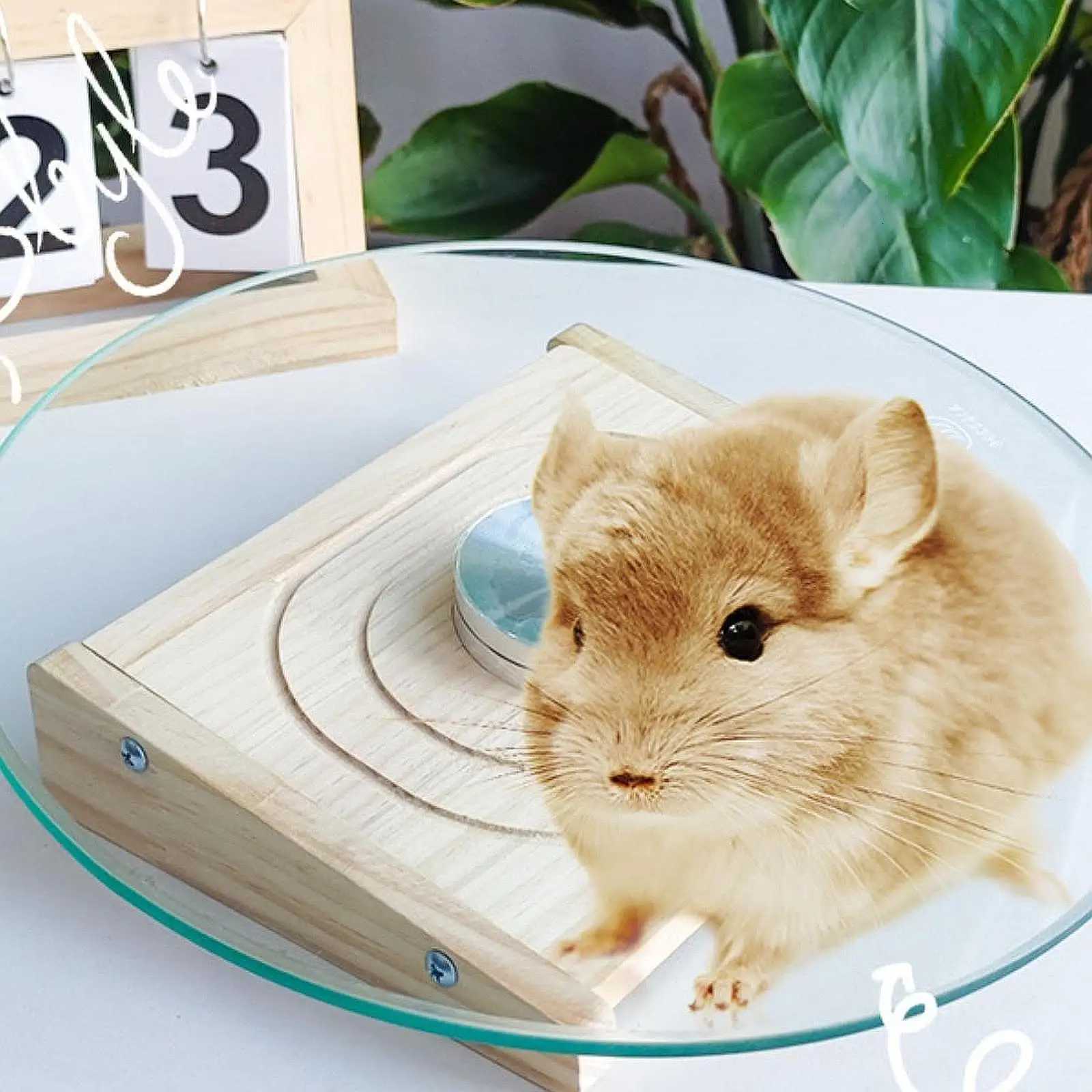 Hamster Wheel Platform Spinner Smoothly Quiet Silent Running Exercise Wheel for Small Animals Hedgehog Mouse Gerbils Activity M251205