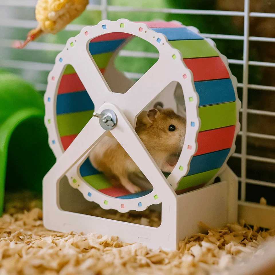 Durable Plastic Hamster Running Wheel Stable Base Colorful Pet Hamster Bracket 21cm Silent Small Animal Wheel for Small Animals M251205