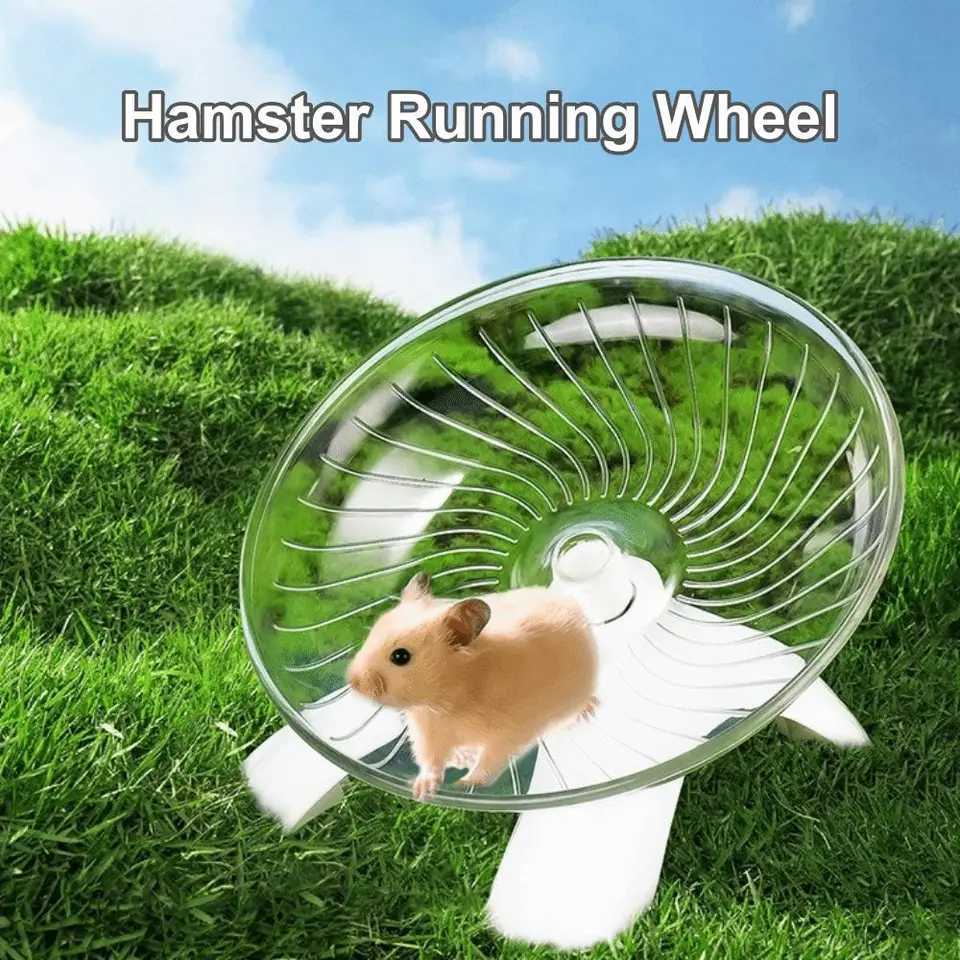 Acrylic Hamster Running Wheel Extra Large Silent Spinner Pet Exercise Tool Anti-slip Steel Axle Running Disc Toy Pet Cage Use M251205