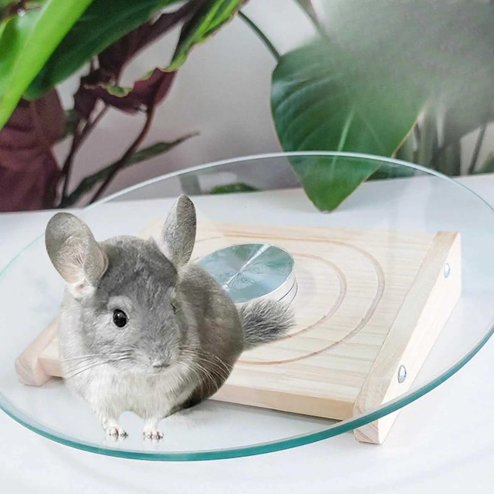 Hamster Wheel Platform Spinner Smoothly Quiet Silent Running Exercise Wheel for Small Animals Hedgehog Mouse Gerbils Activity M251205