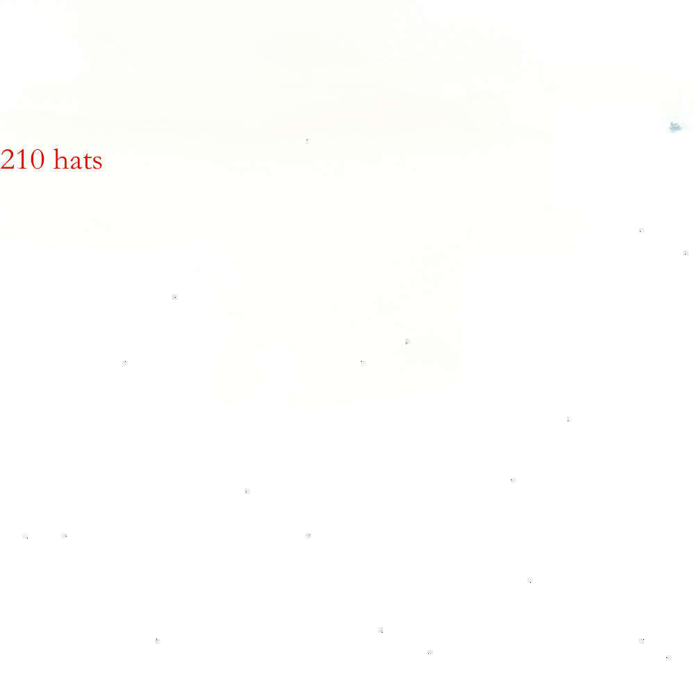 210 hats Contact customer service for any brand--