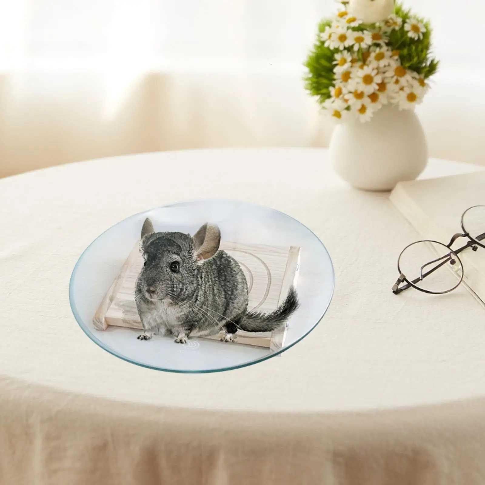 Hamster Wheel Platform Spinner Smoothly Quiet Silent Running Exercise Wheel for Small Animals Hedgehog Mouse Gerbils Activity M251205