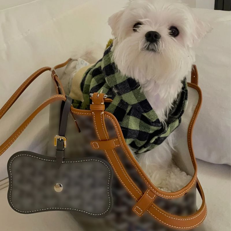 Designer beach bag, casual pet travel tote bag, can be used for shopping, portable outdoor bag for pet supplies.
