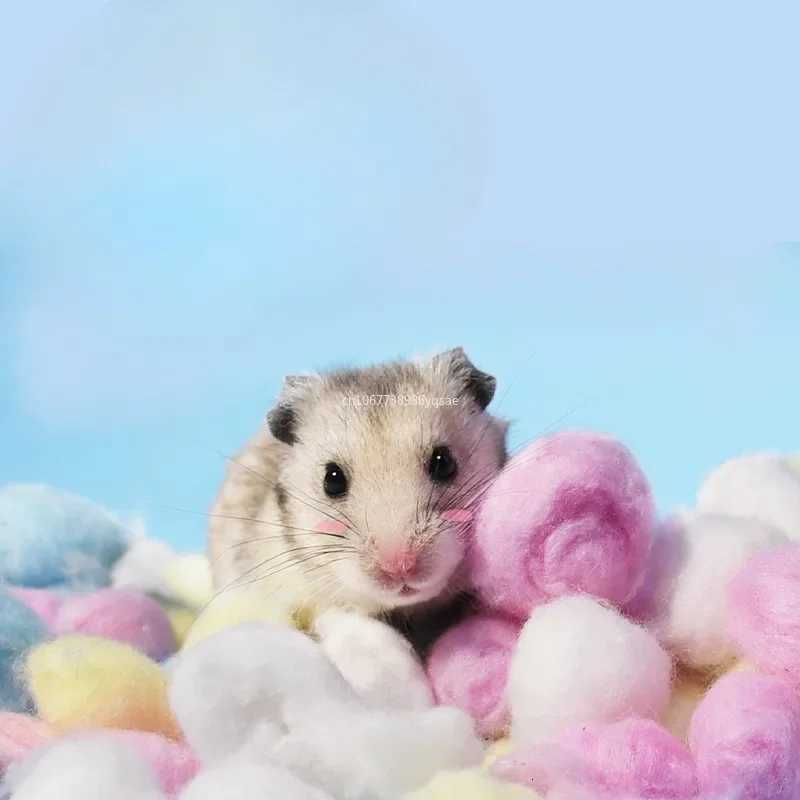 100PCS/bag Hamster Cotton Balls Winter Warm Hamster Nesting Material Colorful Cute Mini Balls Small Pet Cage Accessories M251206