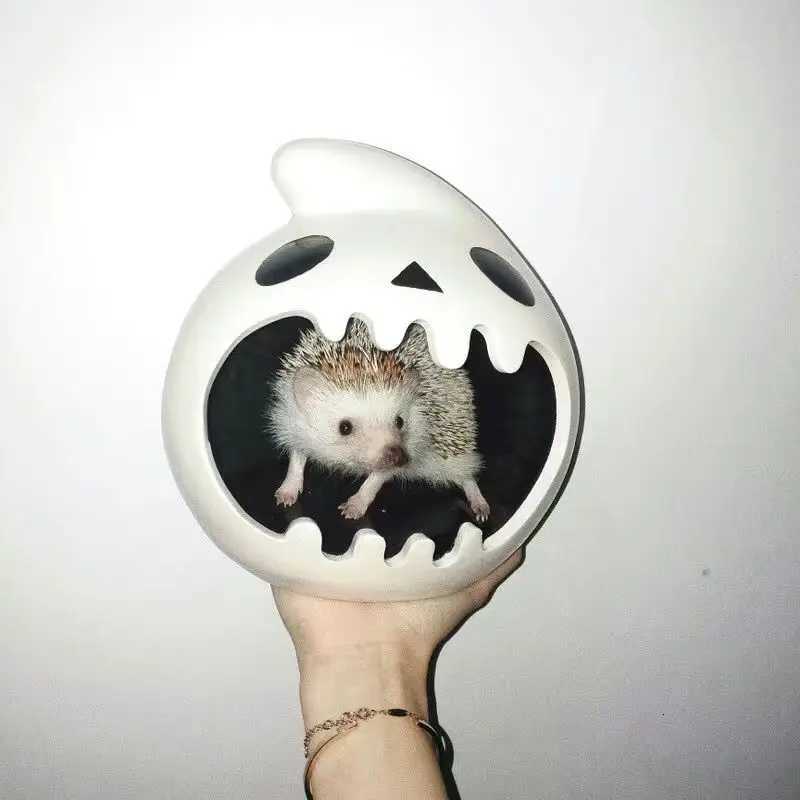 Cute Ceramic Nest Hamster Gold Bear Honey Bag Glider Four Seasons Universal Small Fish Shrimp Crab Shelter M251206