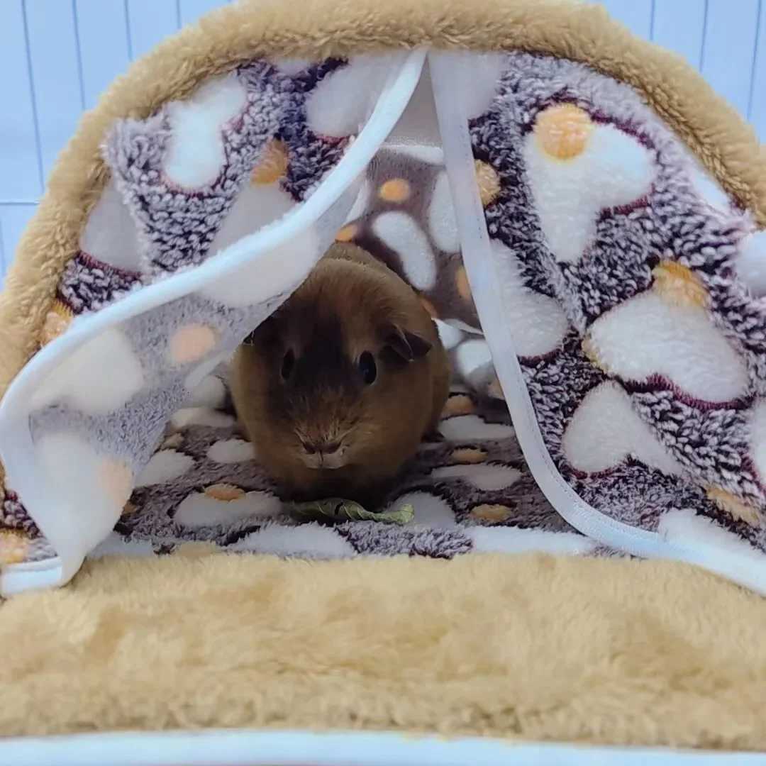 Hamster House Pet Sleeping Cave Warm Soft Beds Plush Printed Cage For Guinea Pig Squirrel Mice Rat Small Animal Supplies M251206