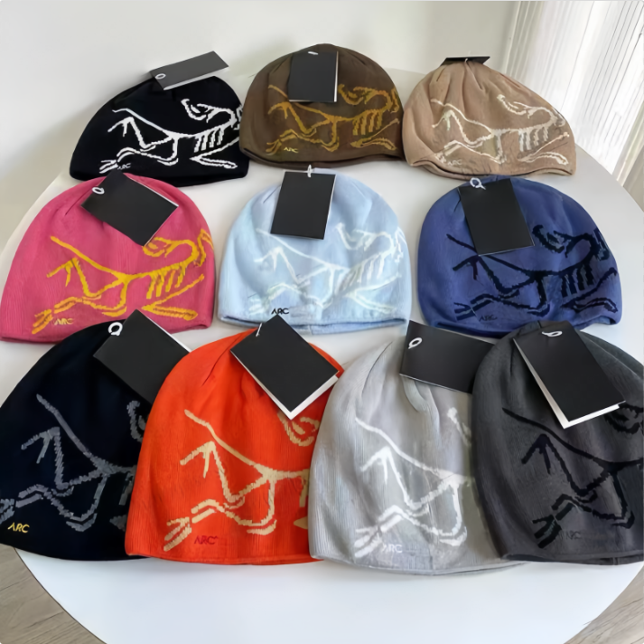 Womens Beanie Classic beanie designer wool hat luxury cashmere hat embroidered ancient bird pattern street fashion brand arc beanie autumn and winter warm ski hats