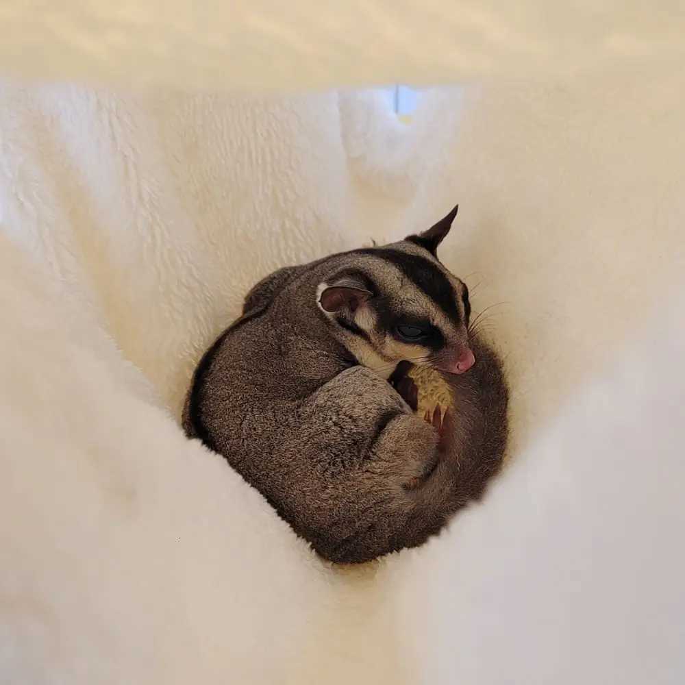 Pet Warm Bed Double-layer Hamster Hammock Thickened Warm Pet Hamster Nest Comfortable Hanging Rat Cage House Winter M251206