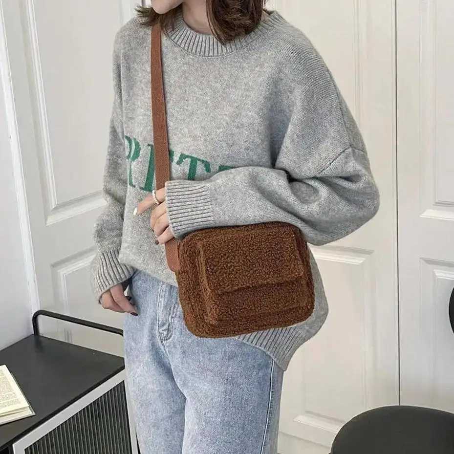 1 Pcs Small Fashion Lambs Wool Fluffy Fur Winter Female Bag Designer Handbags New Plush Fabric Womens Shoulder Crossbody BagT251206