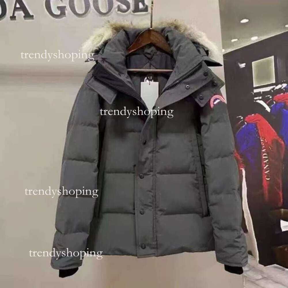 Canadaly Goosemen Designer Parka Gooselys Men Hooded Winter Candalys Gooser Jacket Coat Warm Thicken Cotton Luxury Fashion Classic Trend Quality 523 A0f
