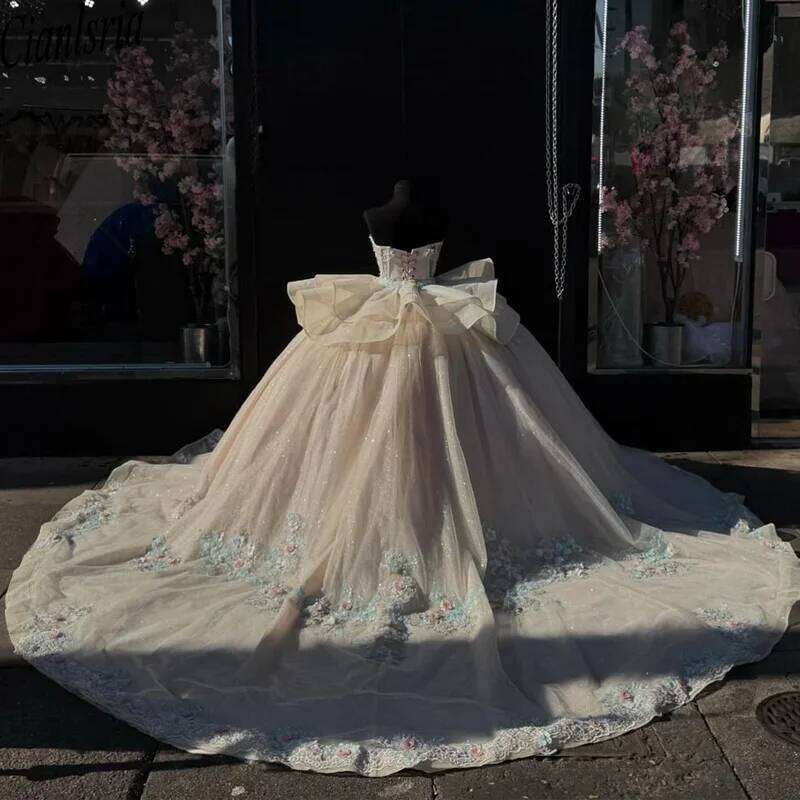 Princess Quinceanera Dresses Appliques Sequins Off the Shoulder Lace up Draped Vestido De Quincea eras Morado