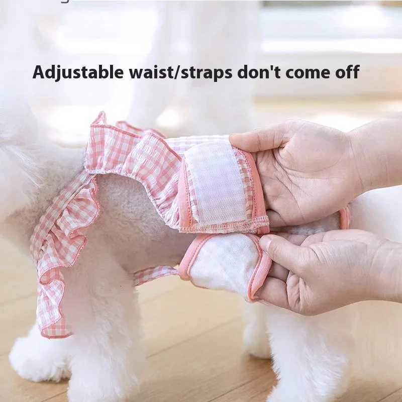 Dog Dress Lace Pet Dog Clothes for Small Dogs Anti Harassment Underwear All Seasons Spring Summer for Teddy Pomeranian Small Dog M251208