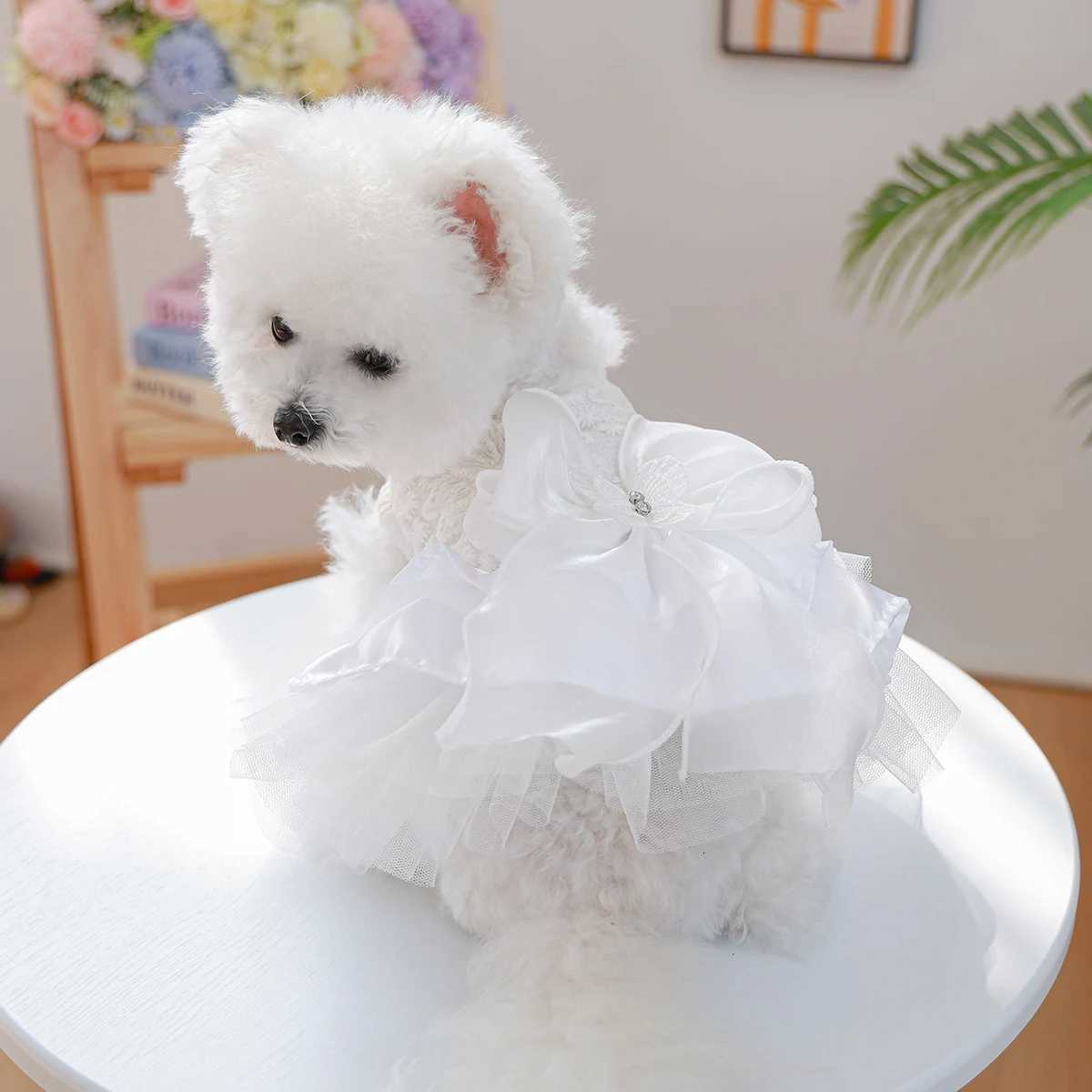 Moonlight Ballet Dress Pet Clothes Dog Cat Anti-Hair Loss White Bow Princess Dress M251208