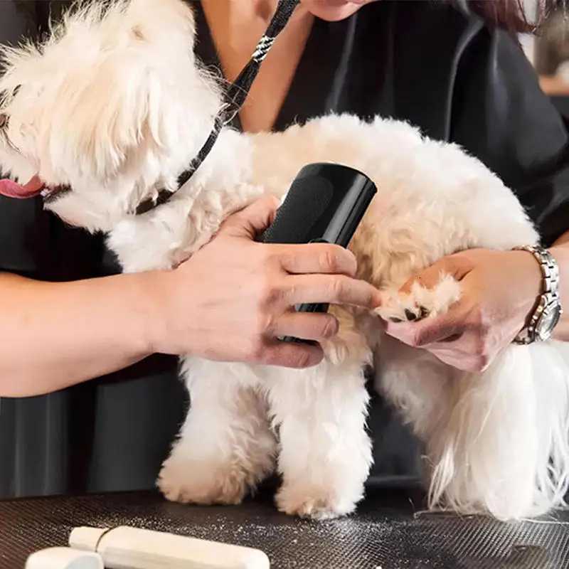 Professional Pet Deshedding Brush Multifunctional Pet Groom Brush Ergonomic Pet Groom Brush Dog Hair Remover Deshedding Tool M251208 - view 5