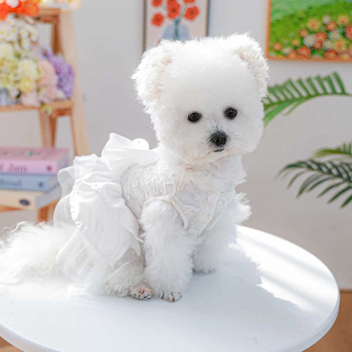 Moonlight Ballet Dress Pet Clothes Dog Cat Anti-Hair Loss White Bow Princess Dress M251208