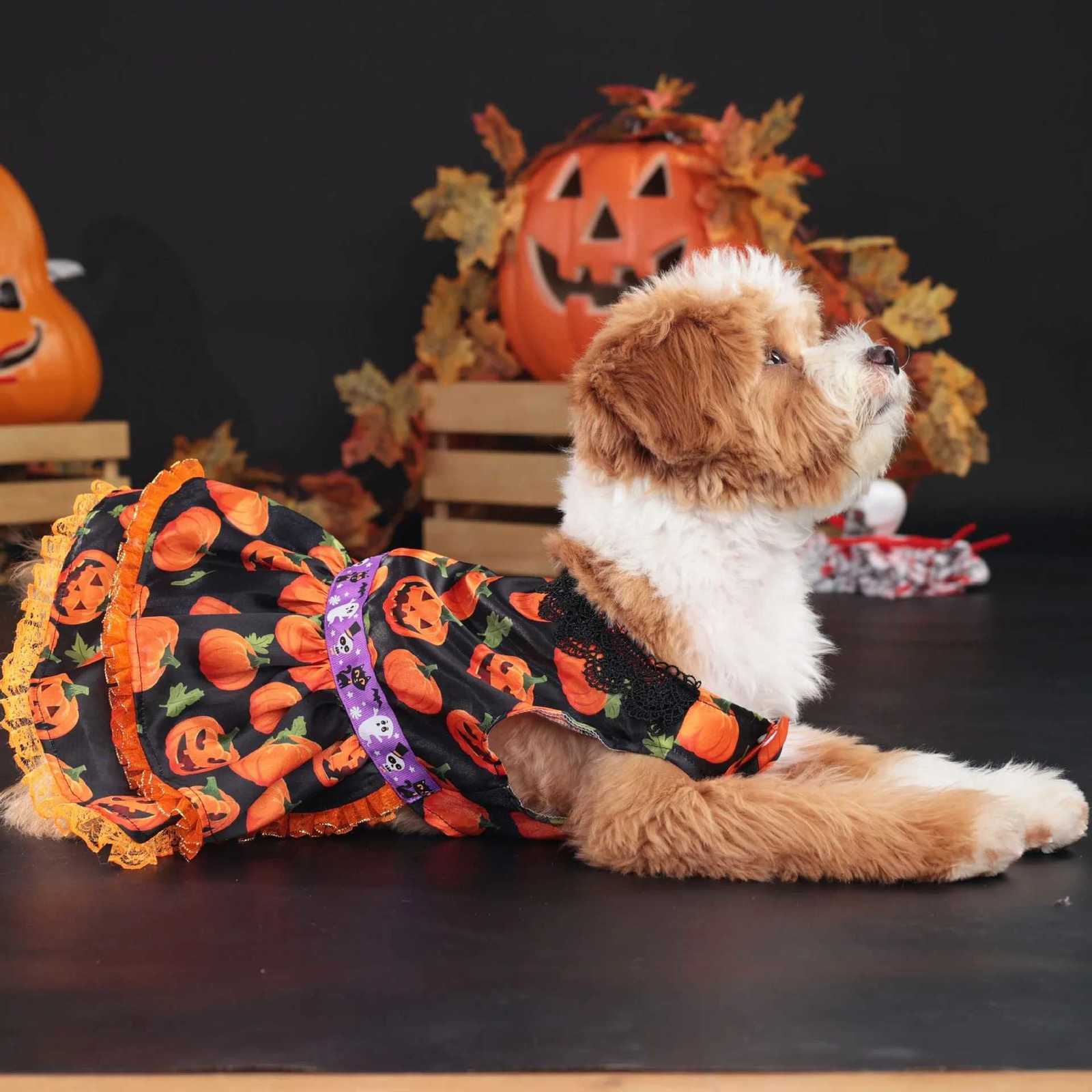 Popular Halloween Pet Supplies Dog Clothes Costumes Pumpkin Skirts and Small Dog Lace Skirt Dog Dress White Girl Dog Clothes M251208