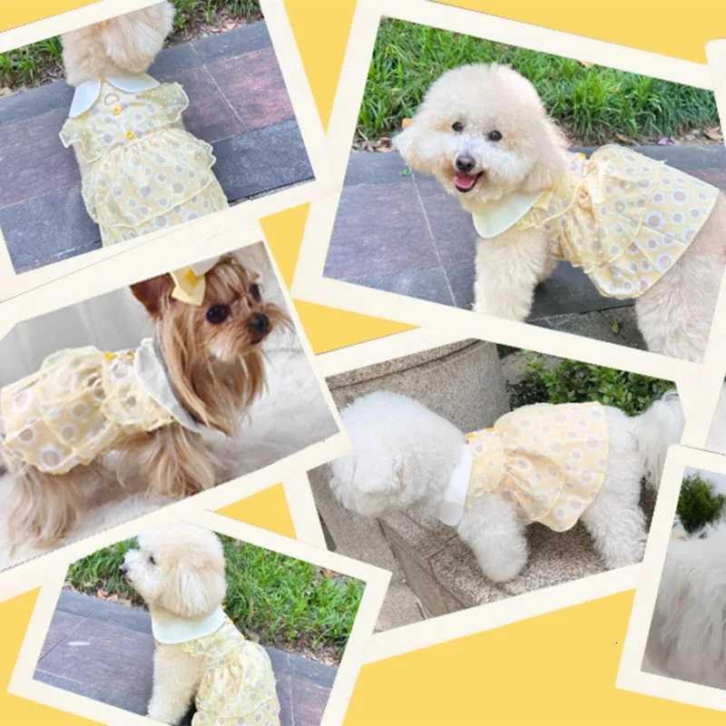 Puppy Traction Skirt Floral Lace Dog Dress with Collar Pet Dress Small Medium Dogs Cats Breathable Puppy Skirt Teddy Pet Clothes M251208
