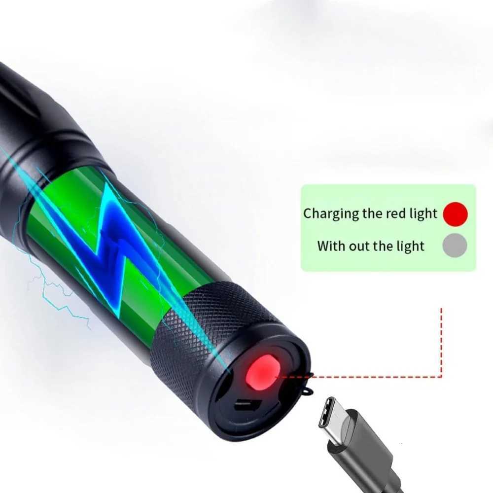 2-in-1 Type C Rechargeable UV Flashlight Torch Light 395nm Black Light Portable Ultraviolet Light Pets Blacklight Uv FlashlightsT251208
