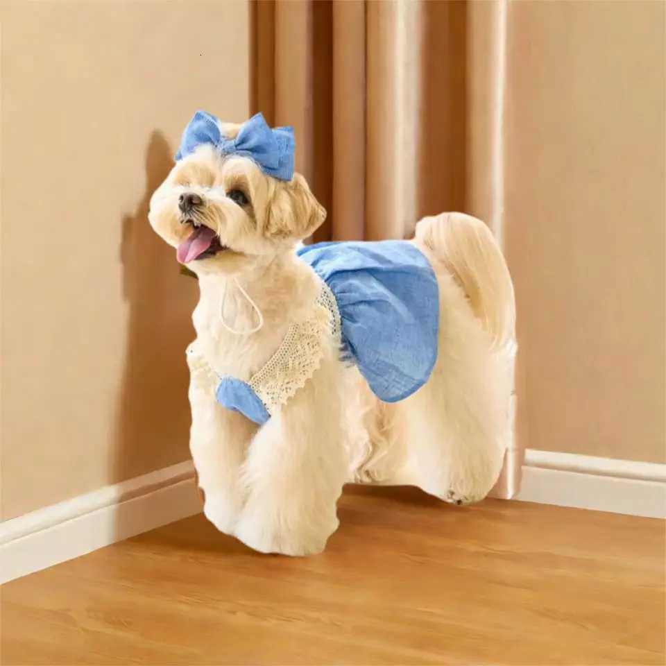 Fashion Lace Pet Lace Denim Dress Soft Thin Dog Vest Breathable Comfortable Cat Princess Skirt Puppy M251208