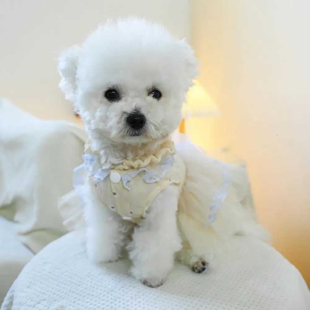 Fine Workmanship Pet Dress Charming Bow Decorated Pet Dress Comfortable Princess Dress for Dogs Cats with Traction for Small M251208