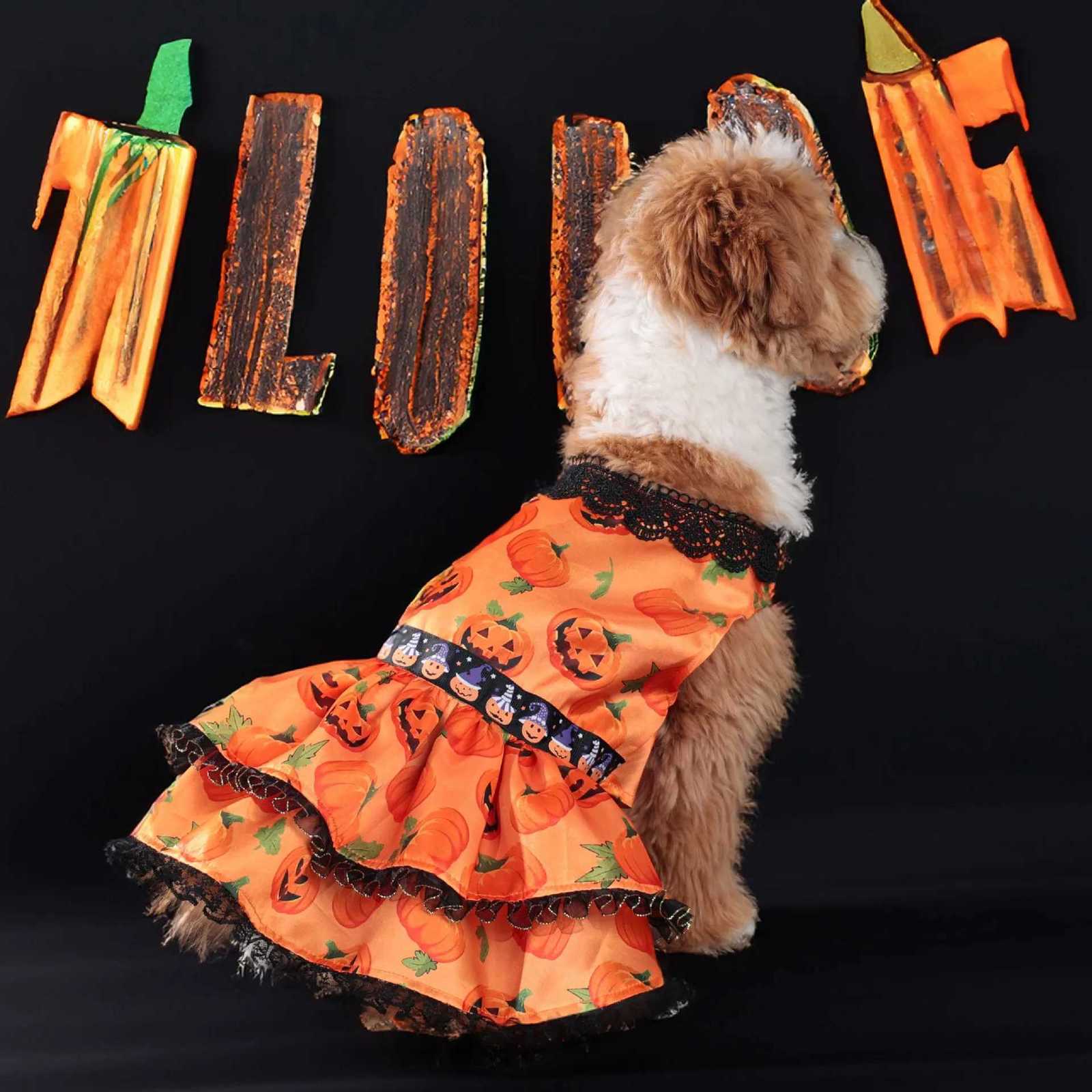 Popular Halloween Pet Supplies Dog Clothes Costumes Pumpkin Skirts and Small Dog Lace Skirt Dog Dress White Girl Dog Clothes M251208