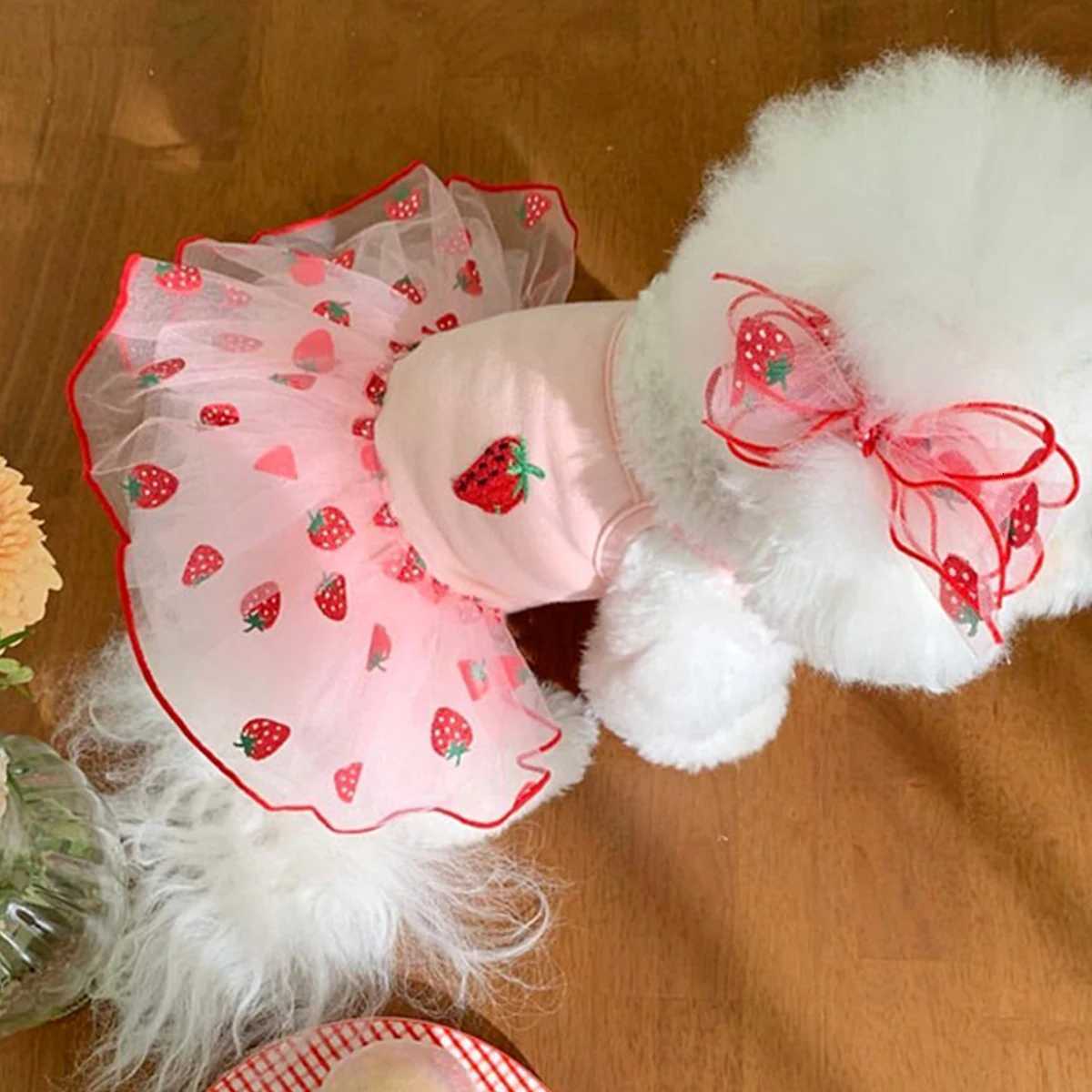 Summer Thin Puppy Princess Skirt Dog Clothes Cute Pet Dog Dress for Small Dogs Chihuahua York Clothing Pet Supplies M251208