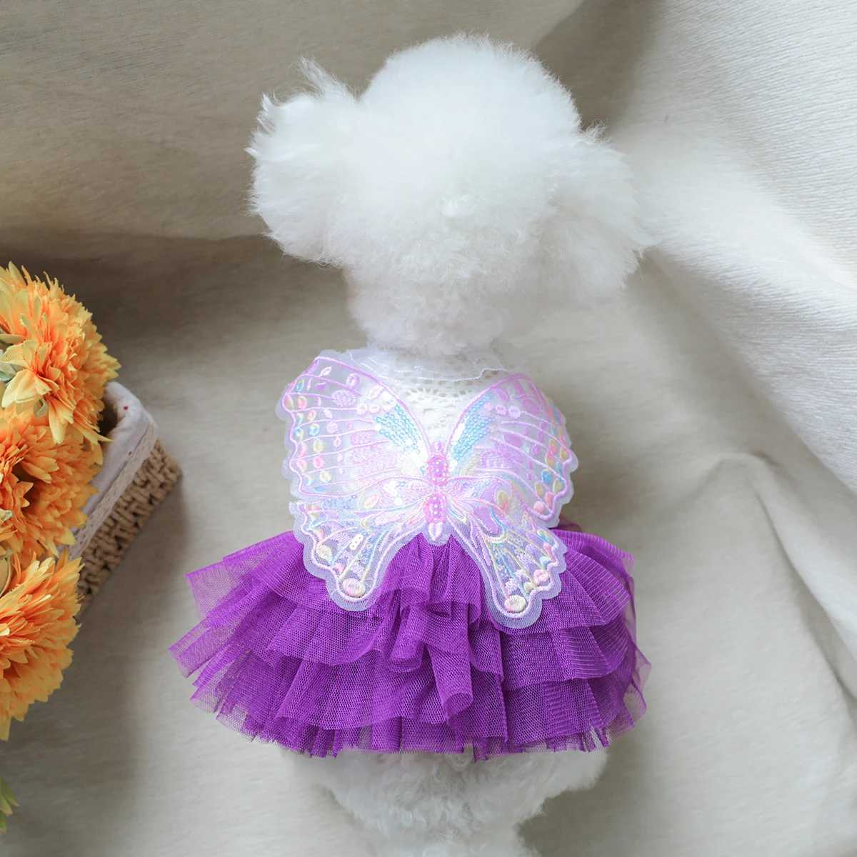 Butterfly Fairy Gauze Skirt Pet Clothes Dog Cat Purple Three-dimensional Wings Wedding Princess Skirt M251208