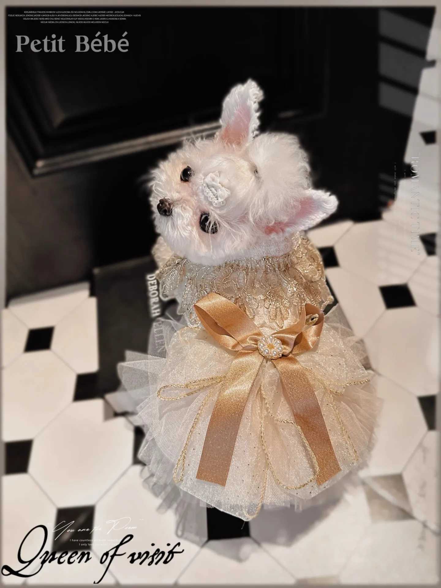 Church-Golden Sacred Pet Dress Luxurious Handmade Details Custom-Made Dress For Cats And Dogs M251208