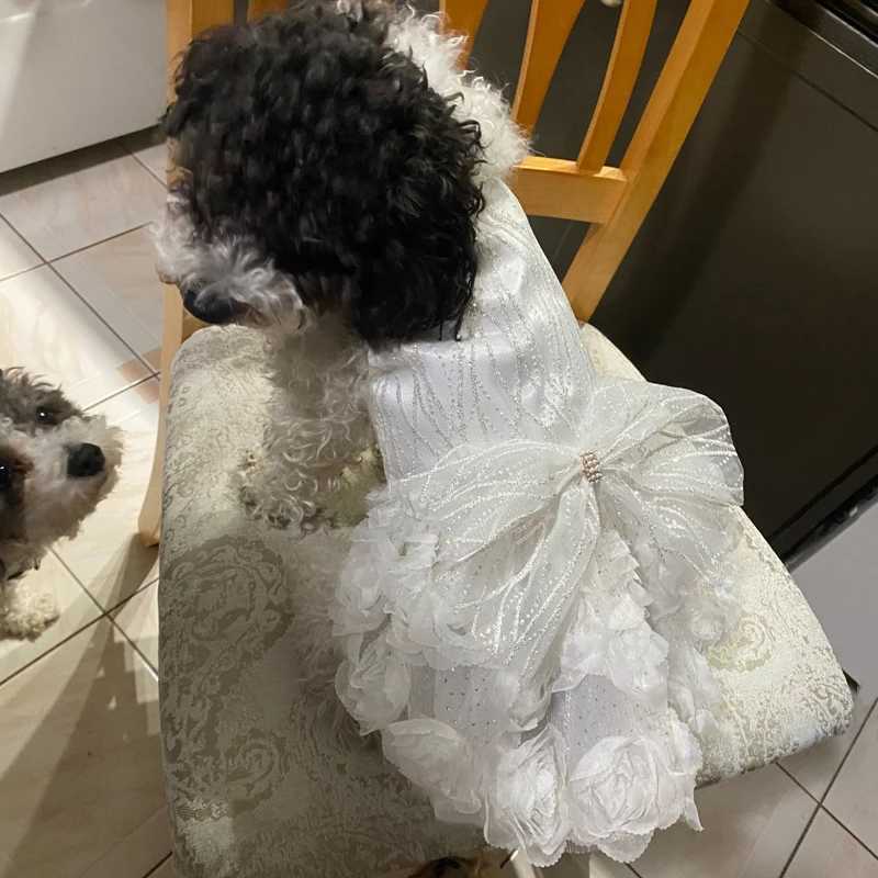 Dog Dress for Small Dogs Prom Party Princess Wedding Dresses Luxury Design Girl Dog Clothes Pomeranian Puppy Cat Costume Outfits M251208