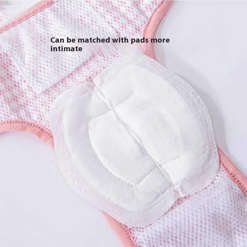 Dog Dress Lace Pet Dog Clothes for Small Dogs Anti Harassment Underwear All Seasons Spring Summer for Teddy Pomeranian Small Dog M251208