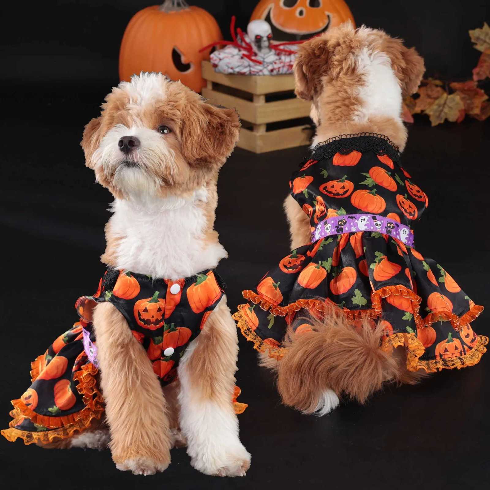 Popular Halloween Pet Supplies Dog Clothes Costumes Pumpkin Skirts and Small Dog Lace Skirt Dog Dress White Girl Dog Clothes M251208