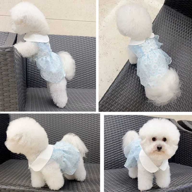Pet Clothing Dog Dress Small Dogs Double-Layered Pet Dress Puppy Apparel with D-Ring Blue Cat Clothes for Wedding Party Birthday M251208