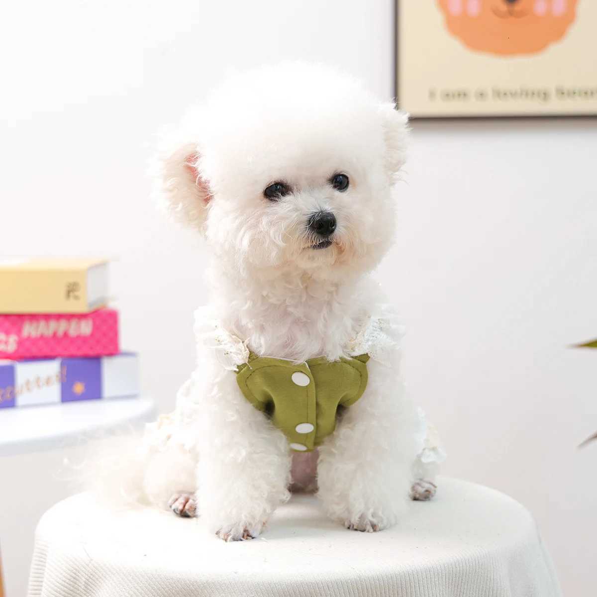 Pet Cat Dog Clothes Early Autumn Princess Style Green with Rose Flower Accessories Dress Suspender Skirt M251208