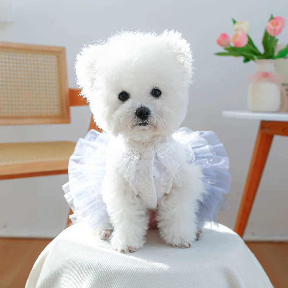 Andromeda Wedding Dress Dog Dress Spring Summer Cat Blue and White Wedding Dress Mesh Dress Princess Style M251208