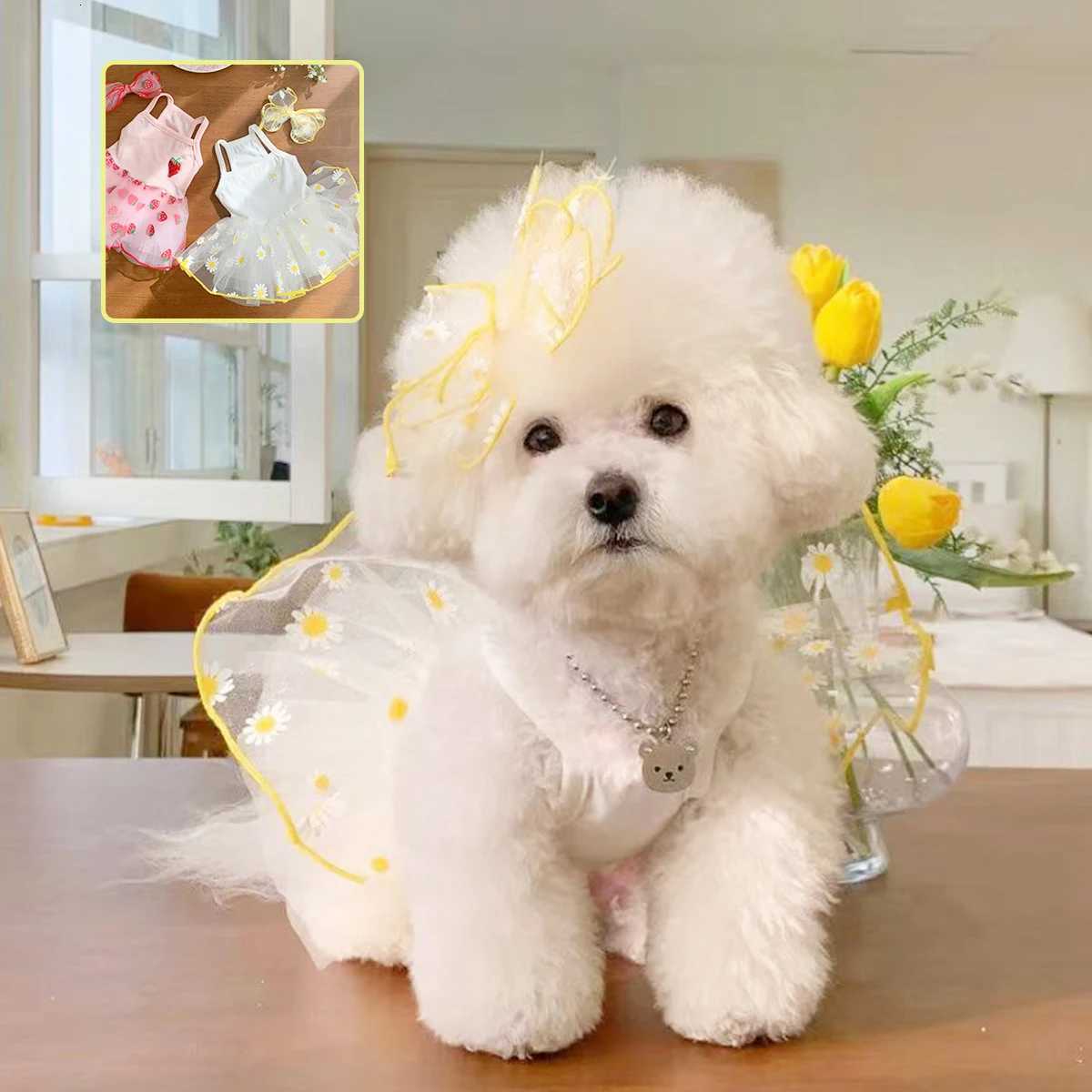 Summer Thin Puppy Princess Skirt Dog Clothes Cute Pet Dog Dress for Small Dogs Chihuahua York Clothing Pet Supplies M251208