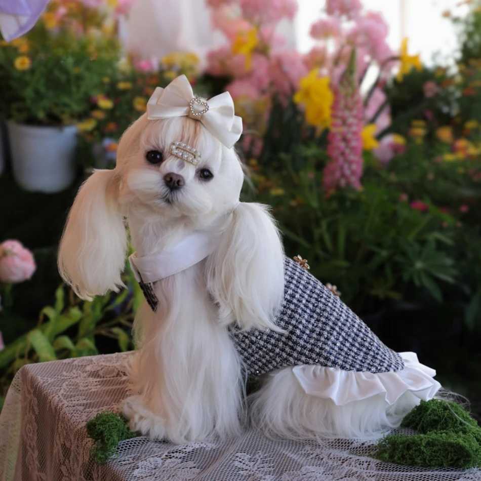 Cat Dress Puppy Pet Apparel Small Dog Clothes Winter Chihuahua Yorkie Pomeranian Yorkshire Terrier Shih Tzu Maltese Dog Clothing M251208