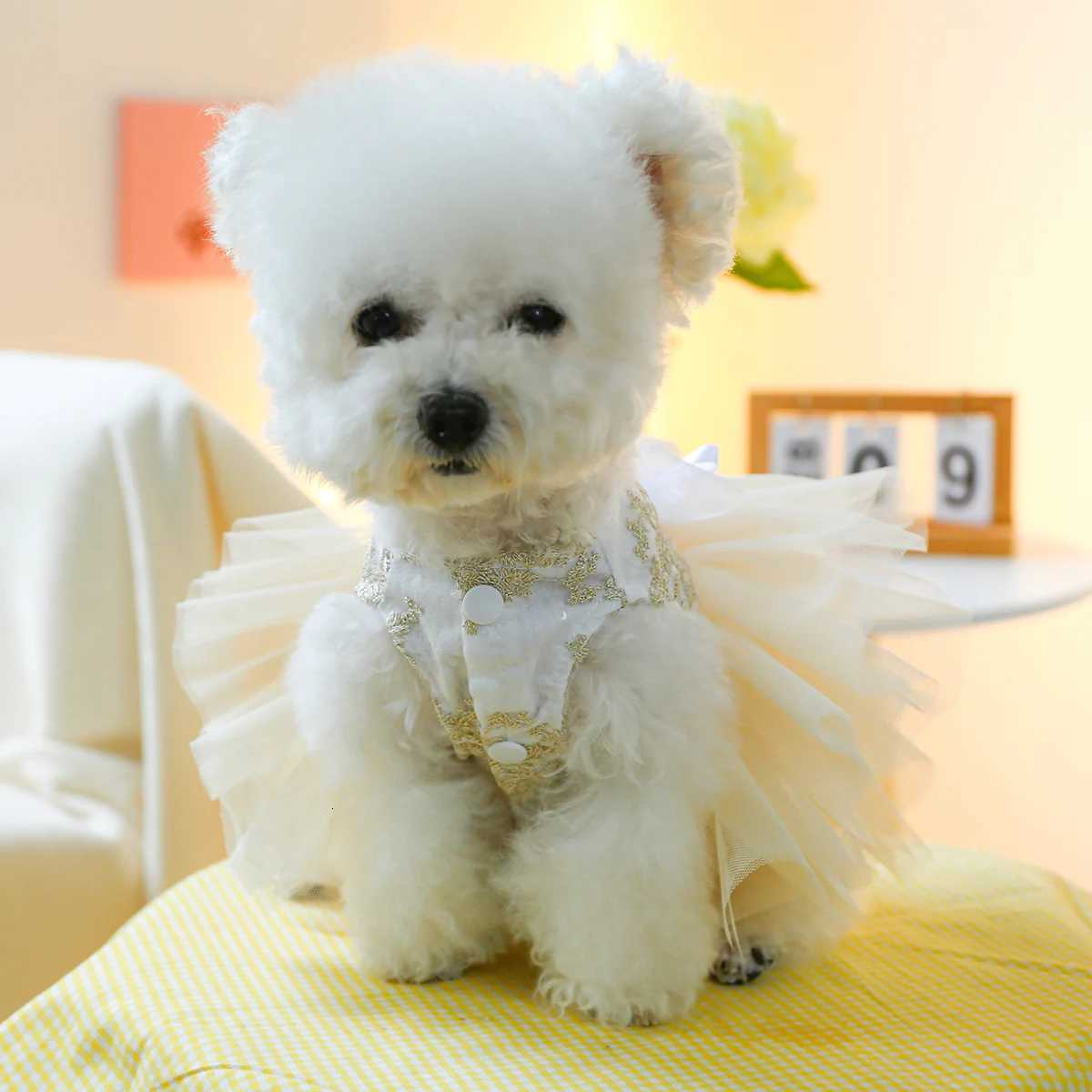 Starlight Wedding Dress Pet Dress Dog Cat Anti-Hair Loss White Dress Princess Dress M251208
