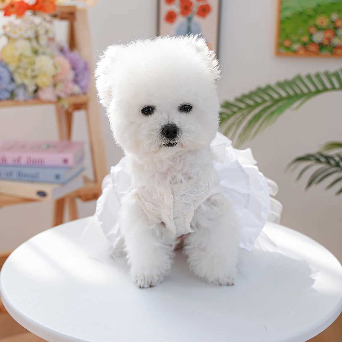 Moonlight Ballet Dress Pet Clothes Dog Cat Anti-Hair Loss White Bow Princess Dress M251208