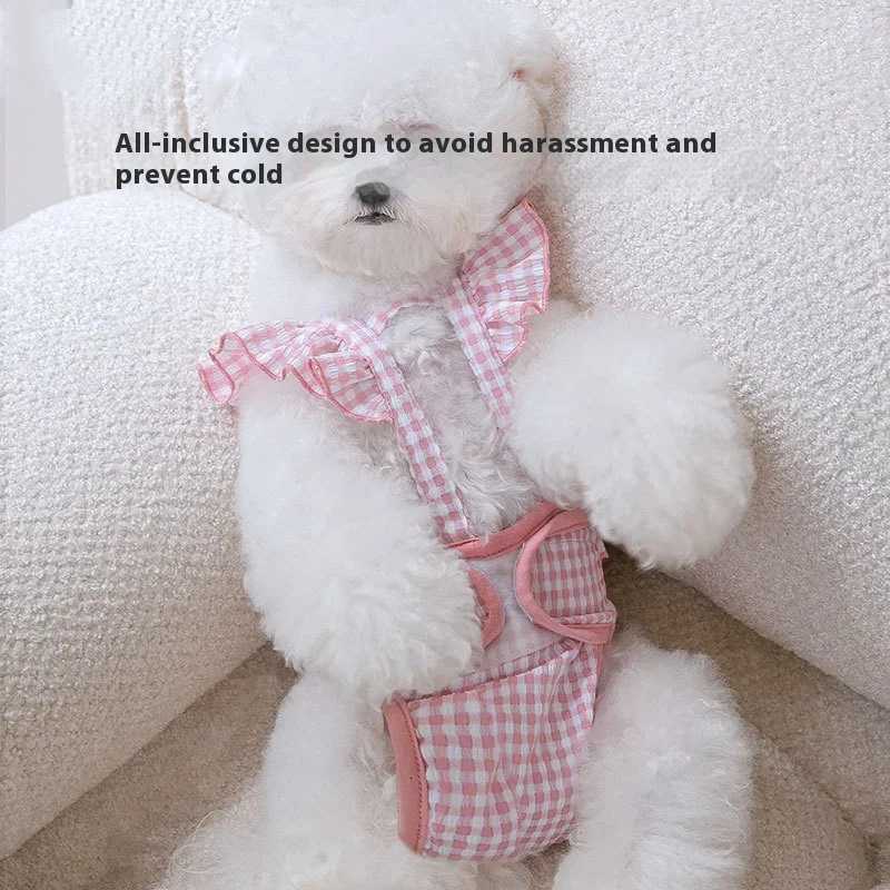 Dog Dress Lace Pet Dog Clothes for Small Dogs Anti Harassment Underwear All Seasons Spring Summer for Teddy Pomeranian Small Dog M251208