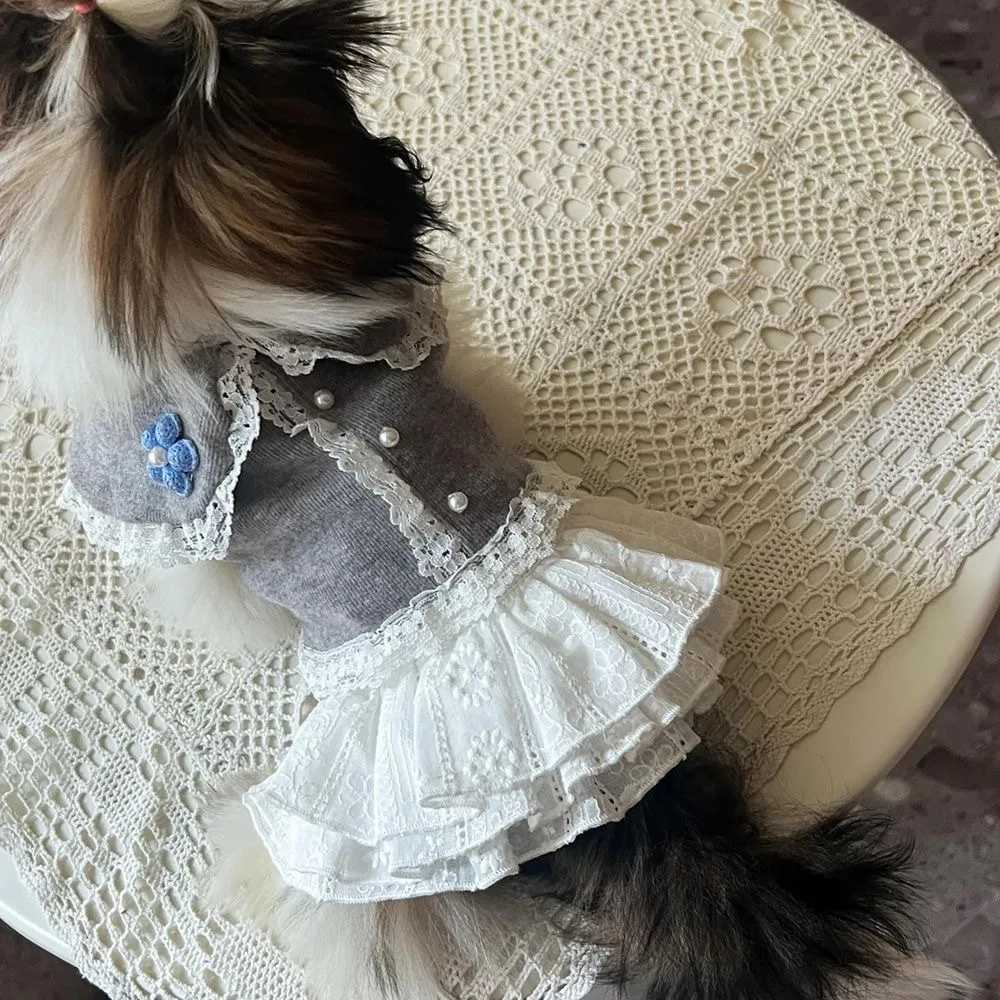 Pet Spring and Autumn Lace Splicing Skirt Schnauzer Shirt Cat Dress Dog Dresses for Small Dogs Puppy Clothes M251208