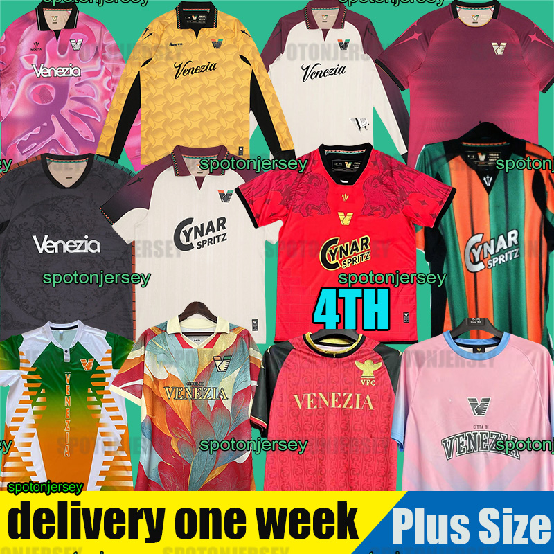 25 26 Venezia Soccer Trikot soccer Jerseys FC 2025 2026 Black jersey football shirt Jersey de Venezia goalkeeper maglie calcio third blue goalkeeper jersey