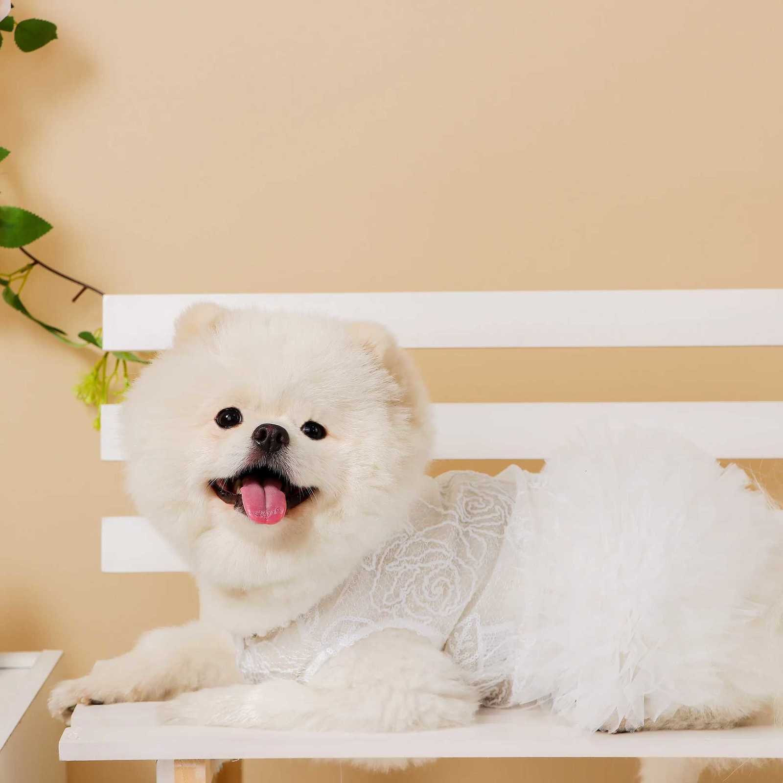 White Dog Dress Puppy Luxury Lace Pearl Skirt Dog Clothes Princess Dresses Wedding Classic Dress Tutu Skirt for Small Dogs Cat M251208