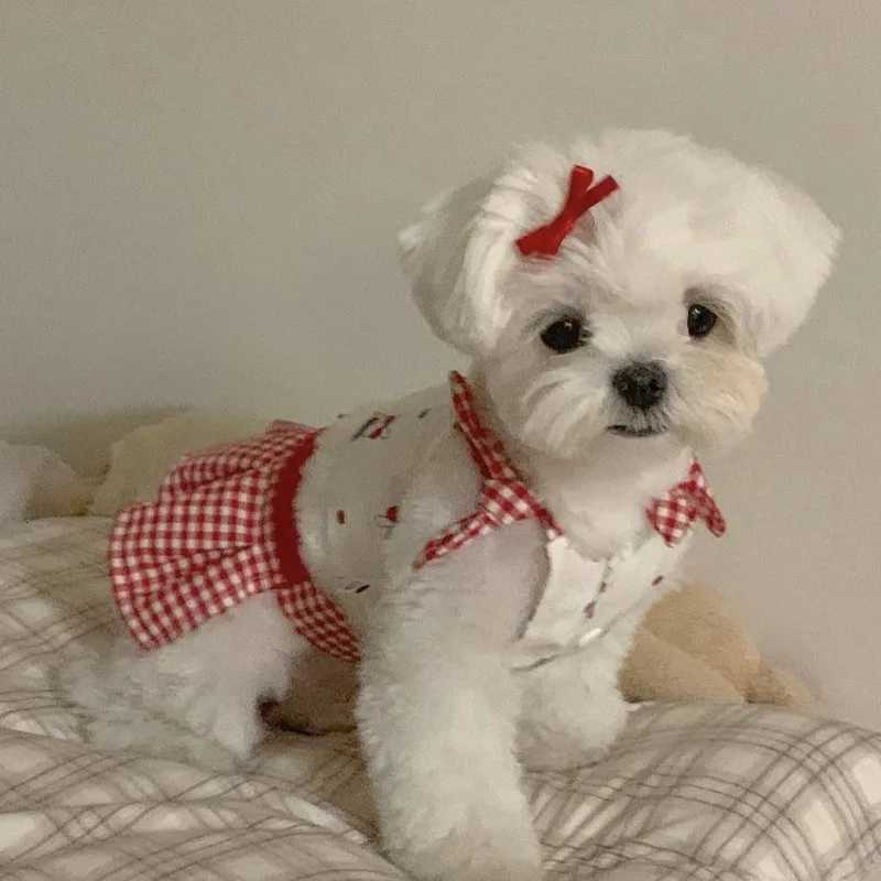 Pet Dog Bow Breathable Vest Puppy Skirt Dog Summer Dresses Retro Cute Camisole Vest Skirt Set Cat Teddy Bear Pet Cooling Vest M251208