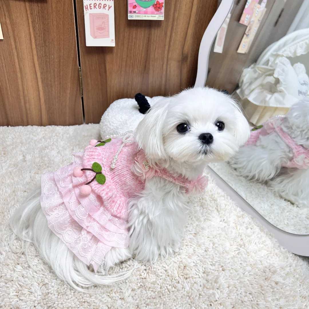 Pet Autumn/Winter Knitted Cherry Dress Princess Dress Dog Cat Sweater Schnauzer Teddy Autumn/Winter Tank Top Puppy Clothes M251208