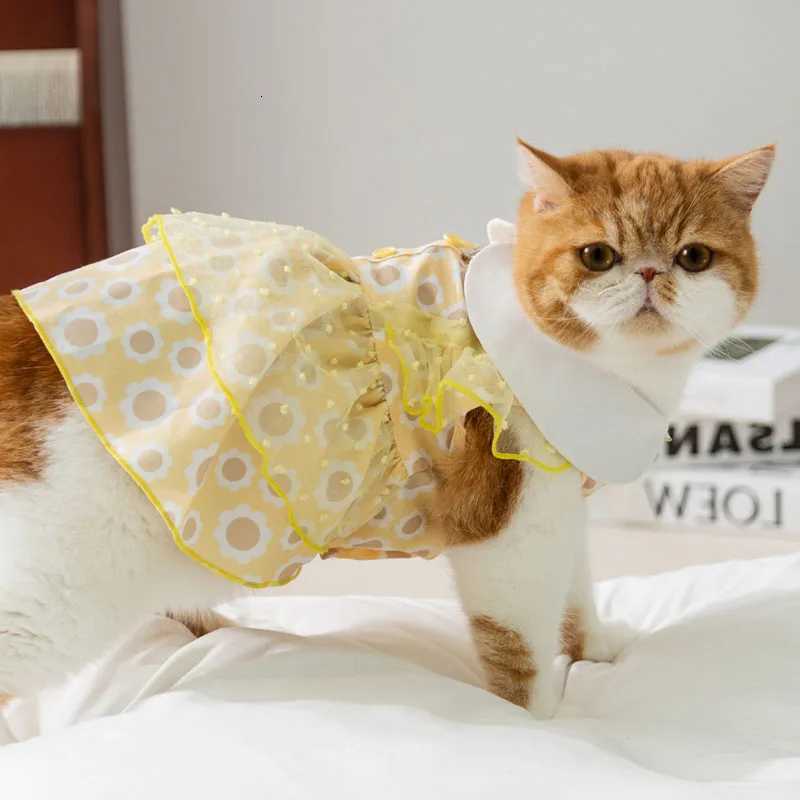 Puppy Traction Skirt Floral Lace Dog Dress with Collar Pet Dress Small Medium Dogs Cats Breathable Puppy Skirt Teddy Pet Clothes M251208