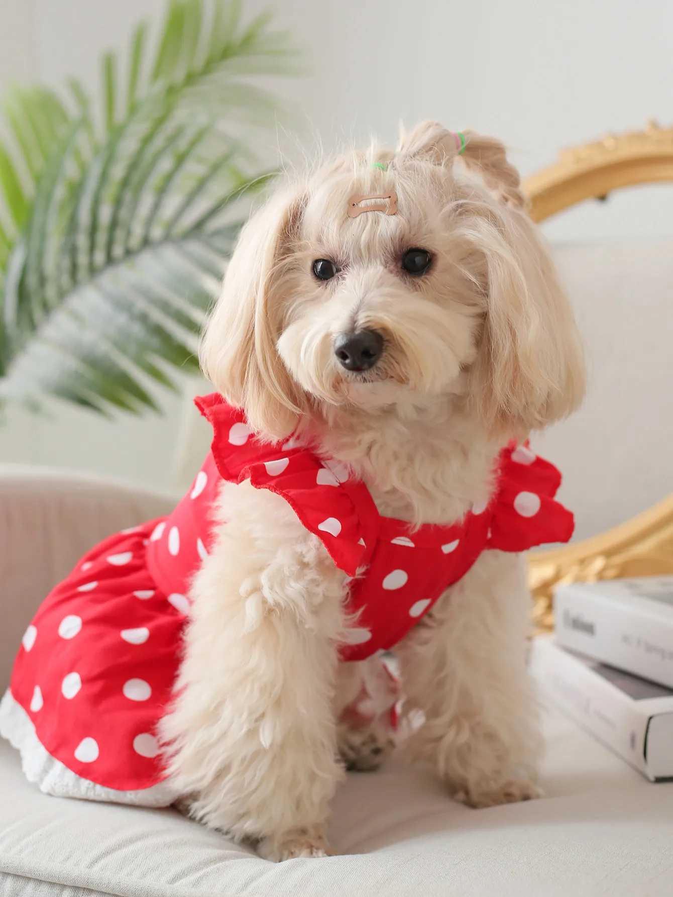 239Red French Polka Dot Romantic Short-Sleeved Lace Trim Dress M251208