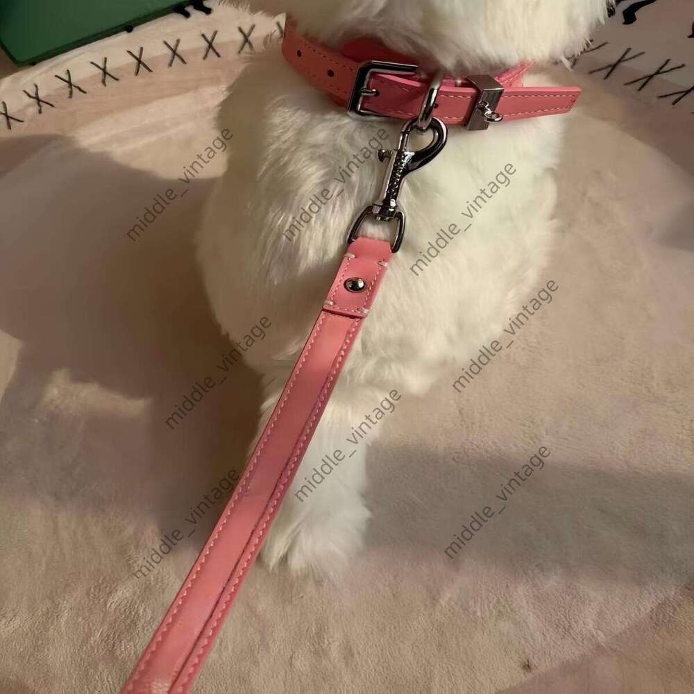 Designer Dog Collar With Classic Letter Pattern Design, Trendy Brand Dog Harness And Leash,genuine Leather Pet Collars Available In Various Colors