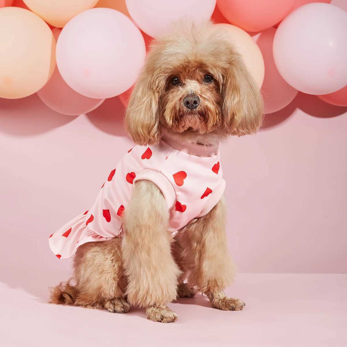 Dog Sweatershirt Dress Valentines Day Dog Clothes Pullover Casual Style Comfortable Pink Heart Pattern Holiday Girl Tulle Skirt M251208